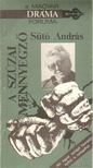 SÜTŐ ANDRÁS - A szúzai mennyegző [antikvár]