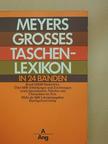 Meyers grosses Taschenlexikon in 24 Bänden 1 (töredék) [antikvár]