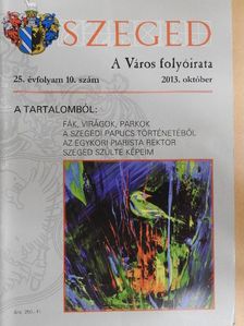 Arany Mihály - Szeged 2013. október [antikvár]
