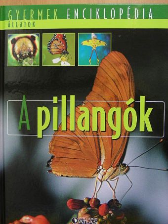 A pillangók [antikvár]