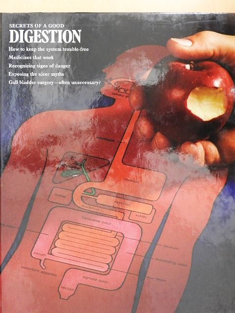Oliver E. Allen - Secrets of a Good Digestion [antikvár]