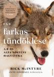 Rick McIntyre - Egy farkas tündöklése - A 6-os alfa-nőstény hagyatéka [eKönyv: epub, mobi]