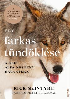 Rick McIntyre - Egy farkas tündöklése - A 6-os alfa-nőstény hagyatéka [eKönyv: epub, mobi]