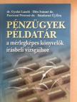 Dr. Gyulai László - Pénzügyek példatár [antikvár]