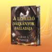 Sarah A. Parker - A lehulló sárkányok balladája
