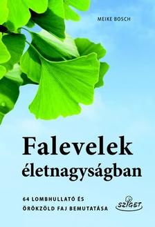 Meike Bosch - Falevelek életnagyságban