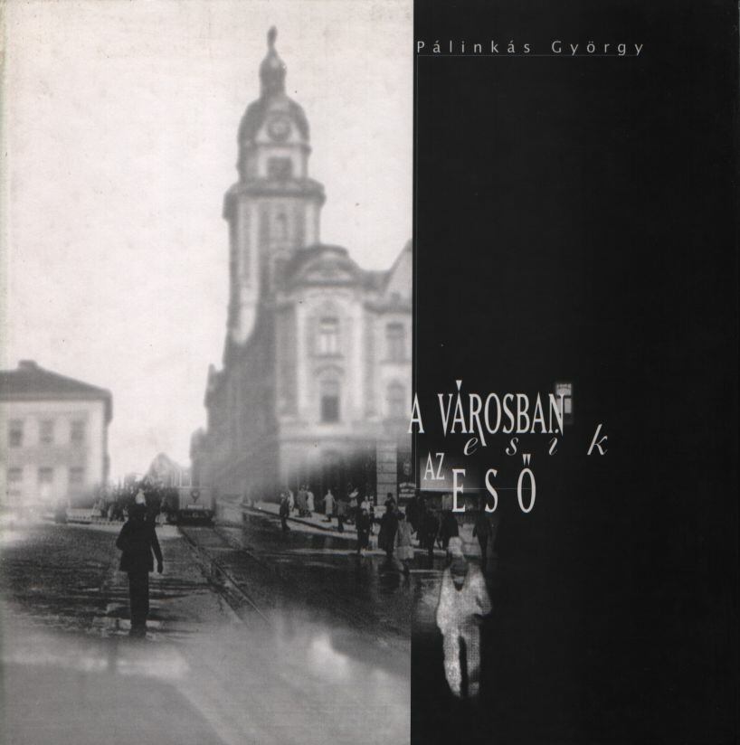 Pálinkás György - A városban esik az eső [antikvár]