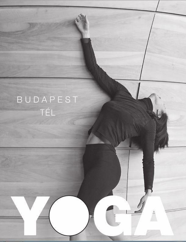 Lukácsi Ákos - Yoga Budapest [antikvár]