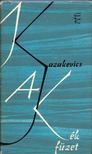 Kazakevics, Emmanuil - A kék füzet [antikvár]