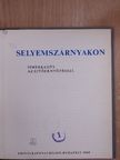Bácskai Györgyi - Selyemszárnyakon [antikvár]