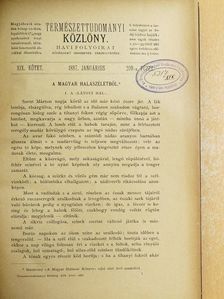 Természettudományi Közlöny 1887. január-december [antikvár]