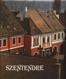 Stojan Vujicic - Szentendre [antikvár]