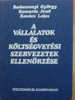 Badacsonyi György - A vállalatok és költségvetési szervezetek ellenőrzése [antikvár]