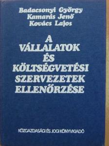 Badacsonyi György - A vállalatok és költségvetési szervezetek ellenőrzése [antikvár]