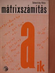 Scharnitzky Viktor - Mátrixszámítás [antikvár]