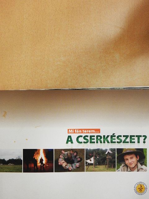 Mi fán terem... a cserkészet? [antikvár]