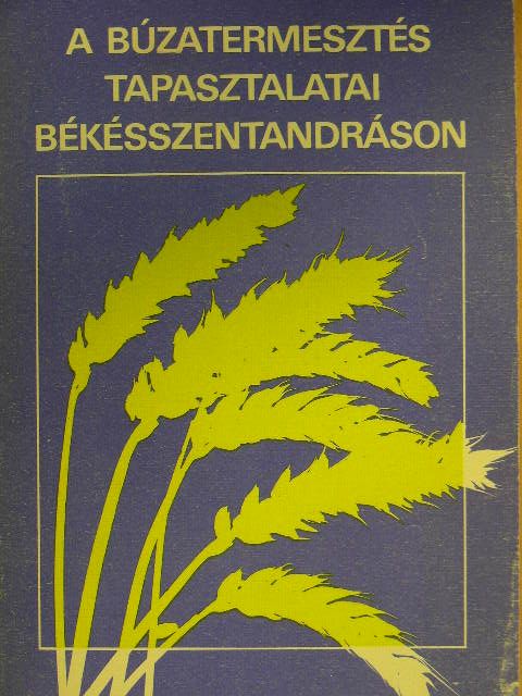 Hrabovszki Mihály - A búzatermesztés tapasztalatai Békésszentandráson [antikvár]