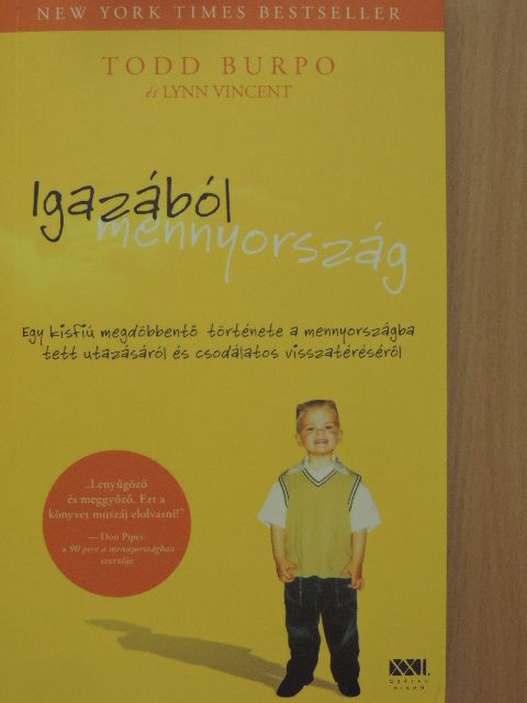 Lynn Vincent - Igazából mennyország [antikvár]