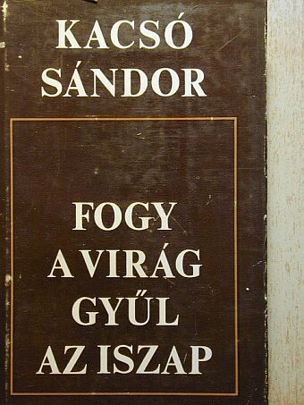 Kacsó Sándor - Fogy a virág gyűl az iszap [antikvár]