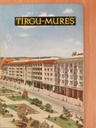 Tirgu-Mures [antikvár]