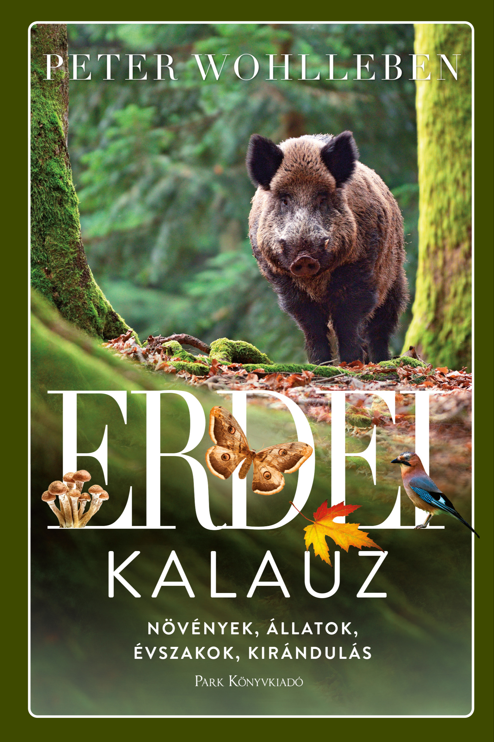 Peter Wohlleben - Erdei kalauz [eKönyv: epub, mobi]