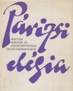 GEREBLYÉS LÁSZLÓ - Párizsi elégia [antikvár]