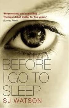 Before I Go to Sleep [antikvár]
