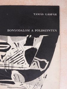 Tamás Gáspár - Bonyodalom a földszinten [antikvár]