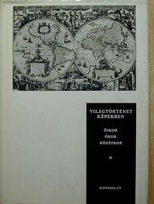 Hahn István - Világtörténet képekben I. [antikvár]