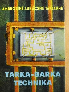 Ambrózyné - Tarkabarka technika [antikvár]