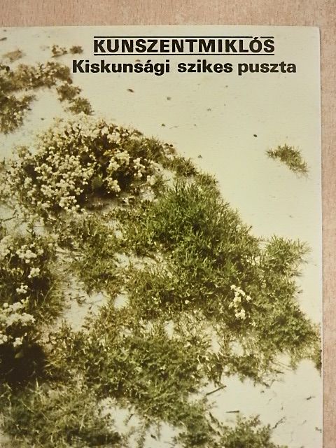 Hosszú Sándor - Kunszentmiklós - Kiskunsági szikes puszta [antikvár]