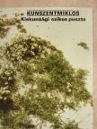 Hosszú Sándor - Kunszentmiklós - Kiskunsági szikes puszta [antikvár]