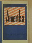 Benét Vince István - Amerika [antikvár]