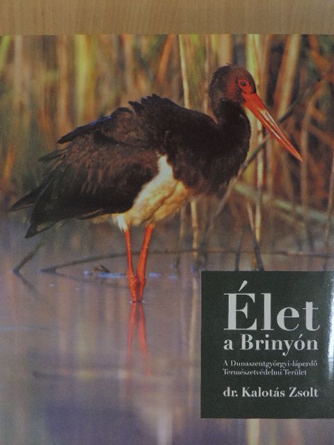 Dr. Kalotás Zsolt - Élet a Brinyón [antikvár]