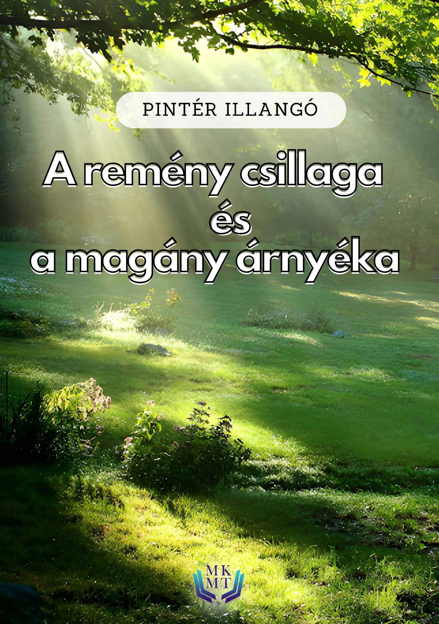 Illangó Pintér - A remény csillaga és a magány árnyéka [eKönyv: epub, mobi]
