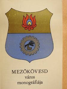 Árvai Józsefné - Mezőkövesd város monográfiája [antikvár]