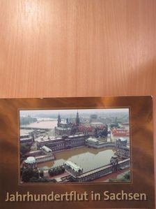 Birgit Grimm - Jahrhundertflut in Sachsen [antikvár]