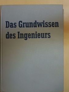Dozent Heinz Birnbaum - Das Grundwissen des Ingenieurs [antikvár]