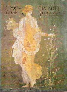 Castiglione László - Pompeji Herculaneum [antikvár]