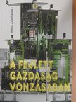 Buza János - A fejlett gazdaság vonzásában [antikvár]