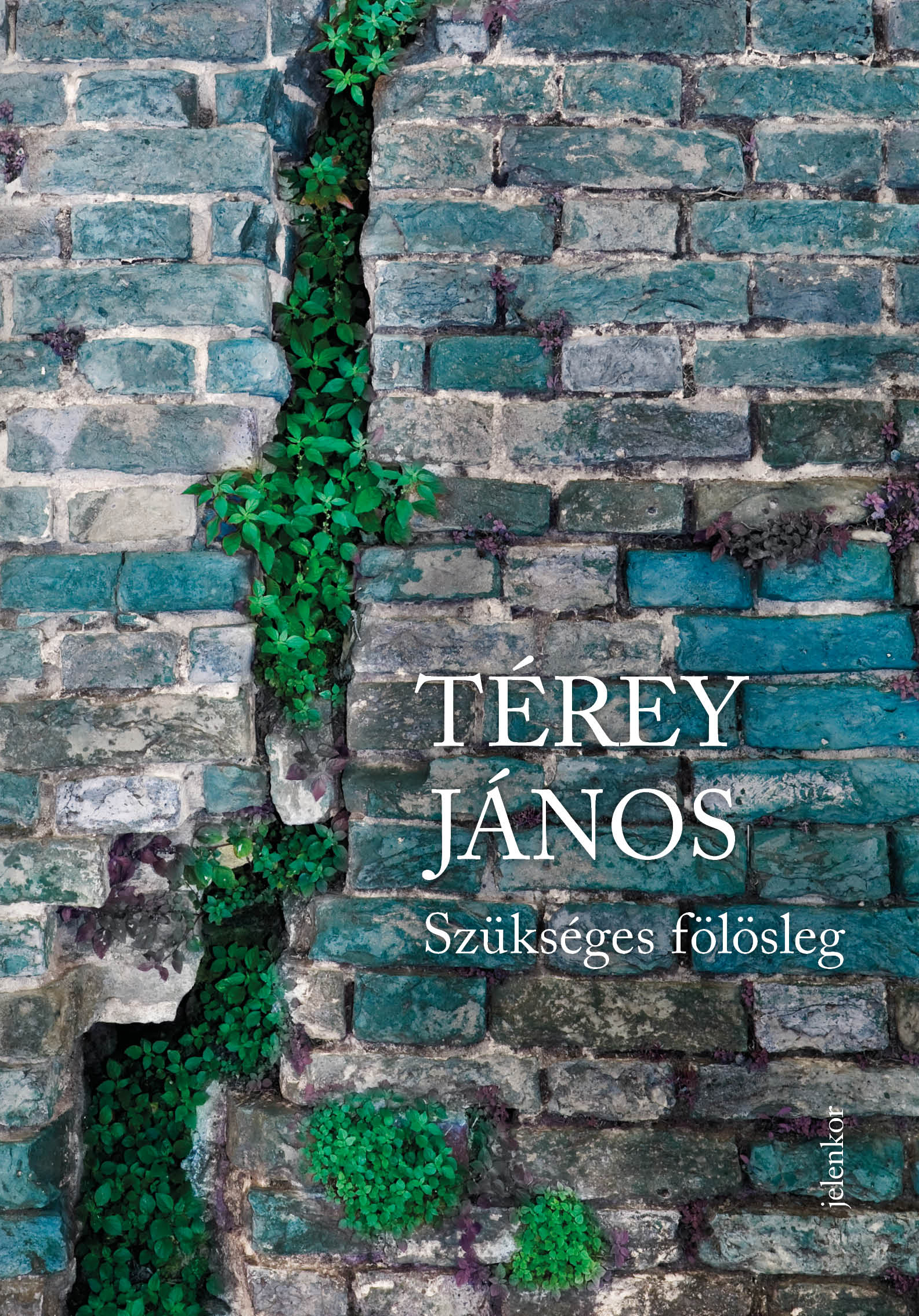 Térey János - Szükséges fölösleg [eKönyv: epub, mobi]
