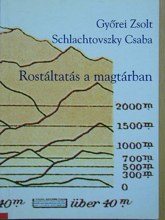 Győrei Zsolt - Rostáltatás a magtárban [antikvár]