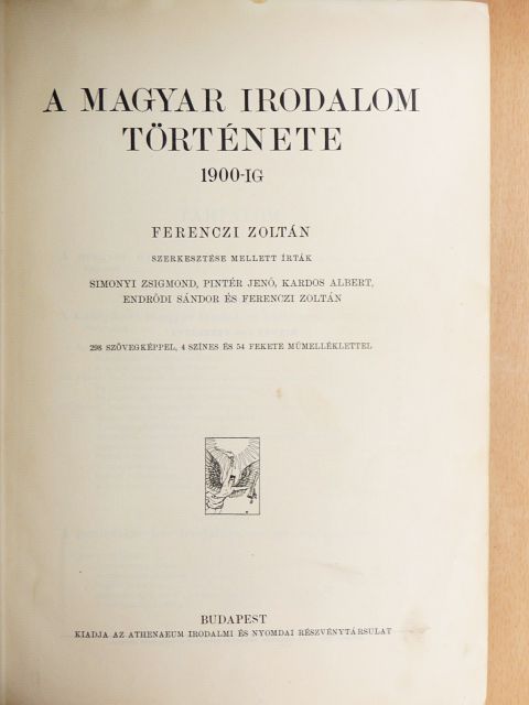 Endrődi Sándor - A magyar irodalom története 1900-ig (rossz állapotú) [antikvár]
