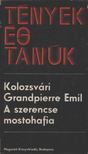 KOLOZSVÁRI GRANDPIERRE EMIL - A szerencse mostohafia [antikvár]