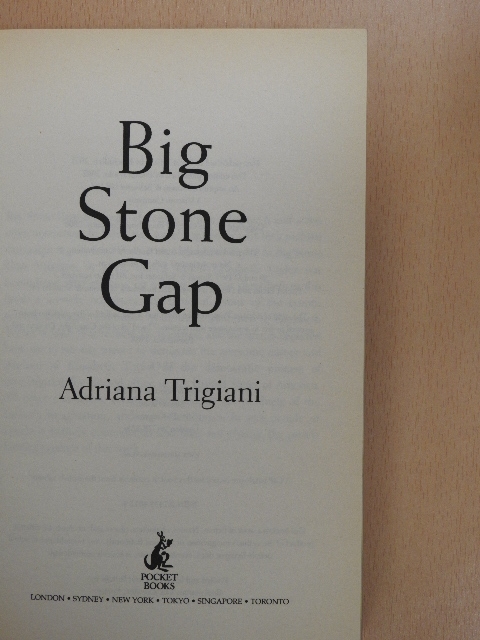 Adriana Trigiani - Big Stone Gap [antikvár]