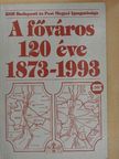 Novotnyé Pletscher Hedvig - A főváros 120 éve [antikvár]