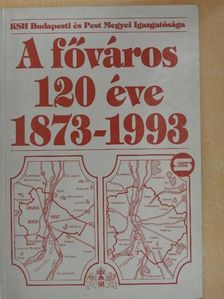 Novotnyé Pletscher Hedvig - A főváros 120 éve [antikvár]