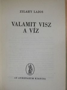 Zilahy Lajos - Valamit visz a víz [antikvár]