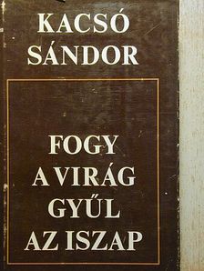 Kacsó Sándor - Fogy a virág gyűl az iszap [antikvár]