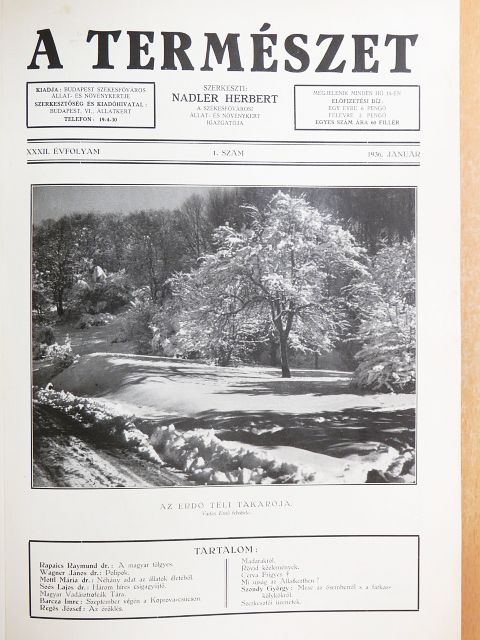 Almási Balogh Lóránt - A Természet 1936-1937. január-december [antikvár]